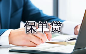 阿克苏保单贷